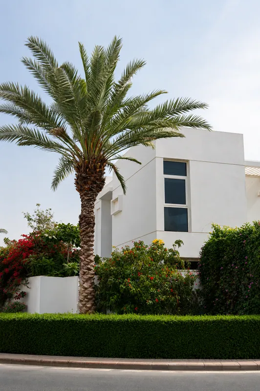 Arabella townhouse facade with date palm, Mudon