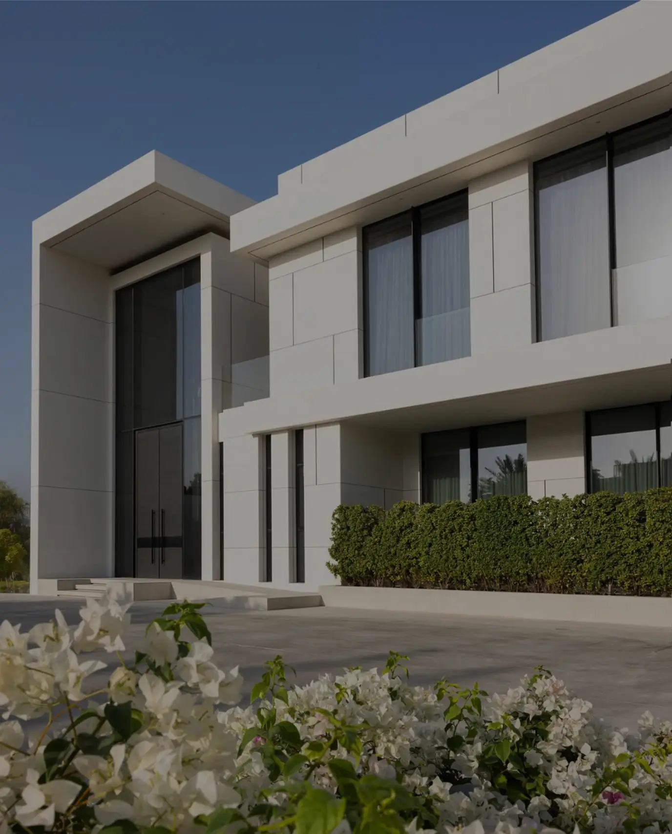 Image hover effect image